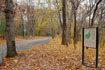 Forest Park